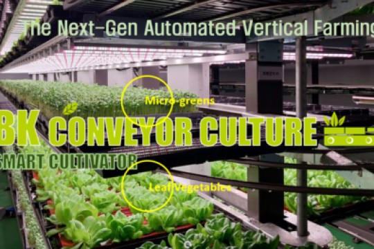 شركة Farmers Lab تقدم BKCC، نظام الزراعة الرأسية المبتكر العملي والمربح والجاهز للاعتماد عالميًا