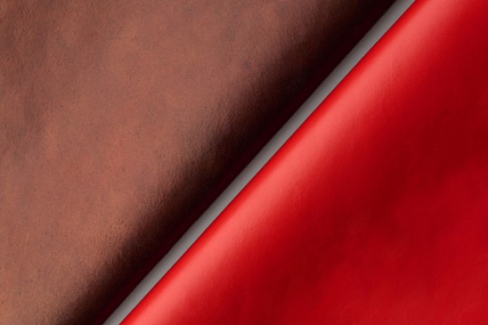 Qorium Secures €22m Investment to Accelerate Cultivated Leather Commercialisation