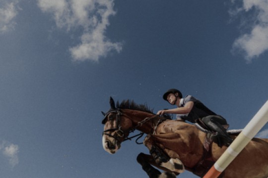 The Premier Jumping League (PJL) Launches with a Record-Breaking $300 Million Guaranteed Prize Pot, Defining a New Era for Showjumping