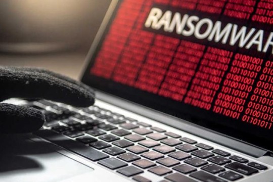 IT burnout emerges as education sector battles ransomware, Sophos report finds-Algeria