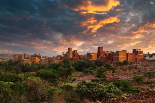 Saudi Arabia sets up new 30,152 sq km Royal Reserve