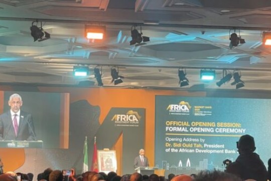 AfDB calls on African nations to accelerate private capital mobilisation to close development financing gap