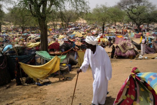 1.2 million Sudanese have fled to Egypt-Sudan