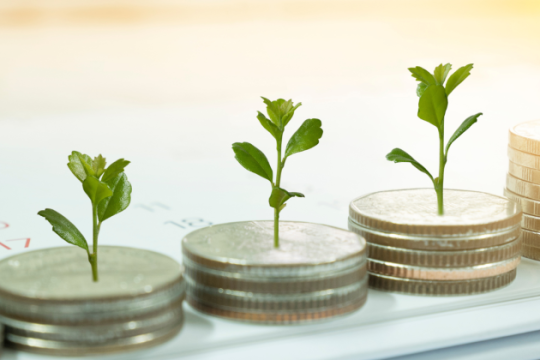 African Angel Academy launches 12th cohort to bridge Africa’s $194b startup funding gap