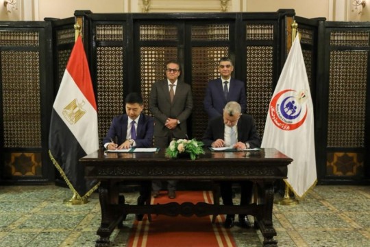 Egypt inks deal for first local ultrasound device factory-Egypt