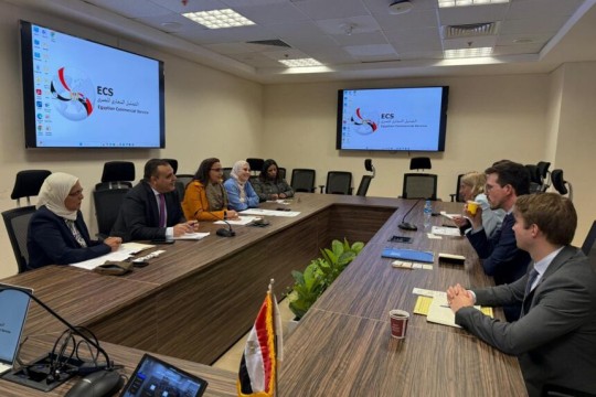 ECS reviews preparations for seventh Egyptian-German Joint Economic Committee