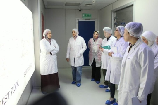 Egypt advances local production of pneumococcal vaccine through VACSERA partnership