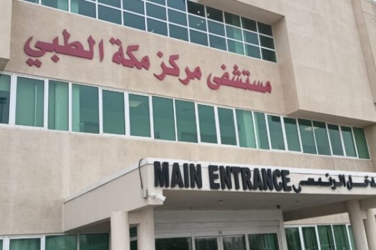 Egypt’s Hajj medical mission delivers 987 healthcare services to pilgrims in Saudi Arabia-Egypt