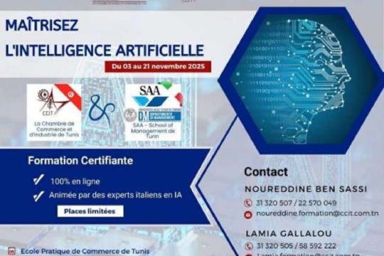 Tunisia-Italy: Online training to master generative AI from November 2025-Tunisia